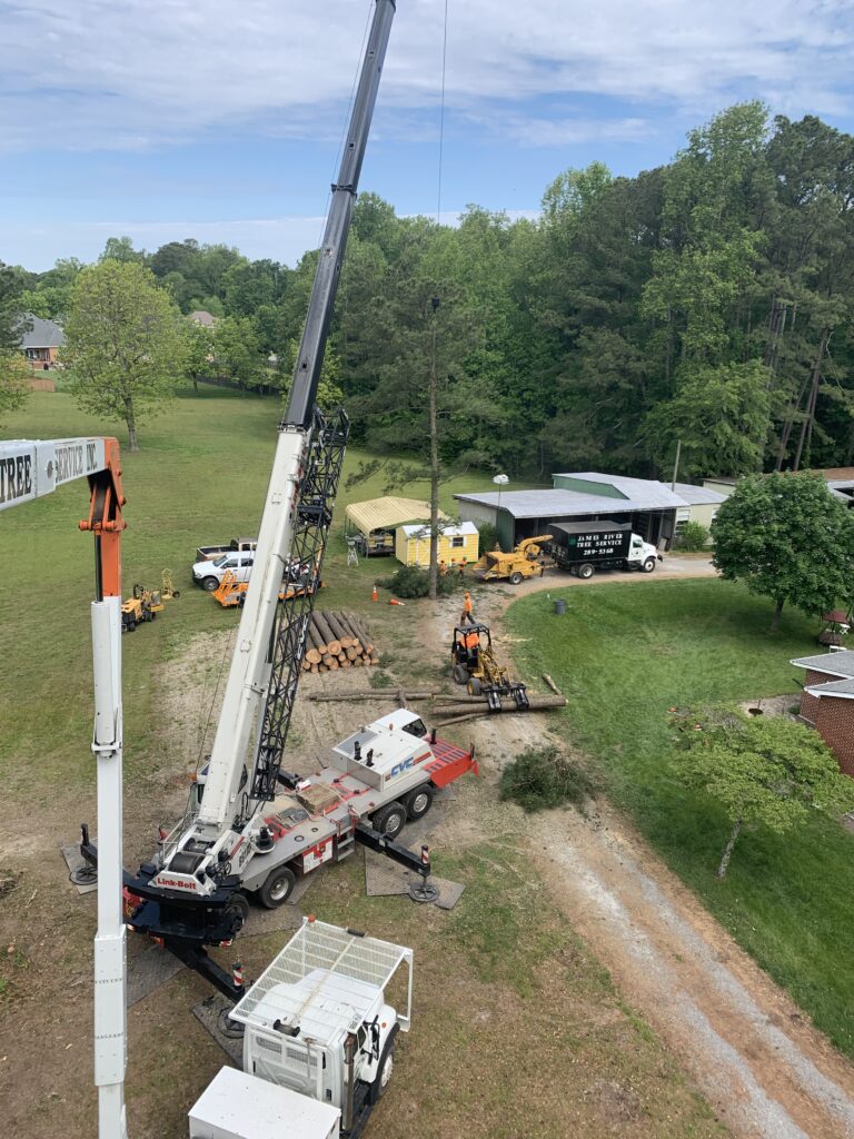 trucks and machines for tree removal